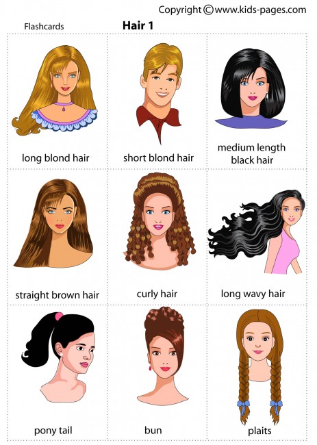 Hair 1 flashcard